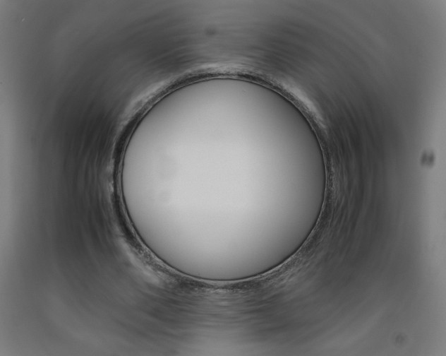X0000093230486200709261512