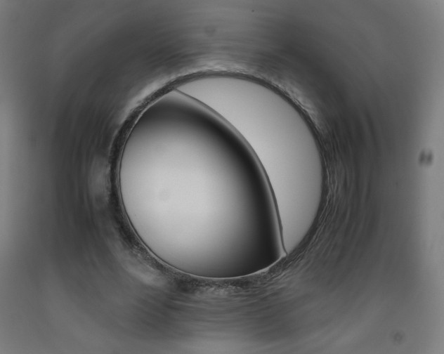 X0000093230488200709261512