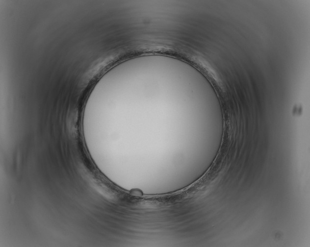 X0000093230490200709261512