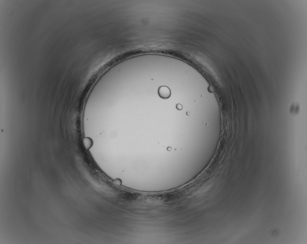 X0000093230491200709261512
