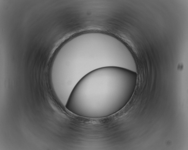 X0000093230492200709261512