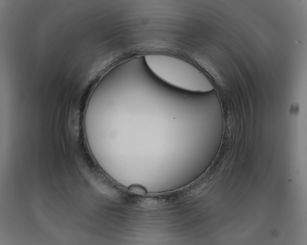 X0000093230494200709261512