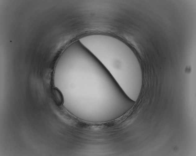 X0000093230495200709261512