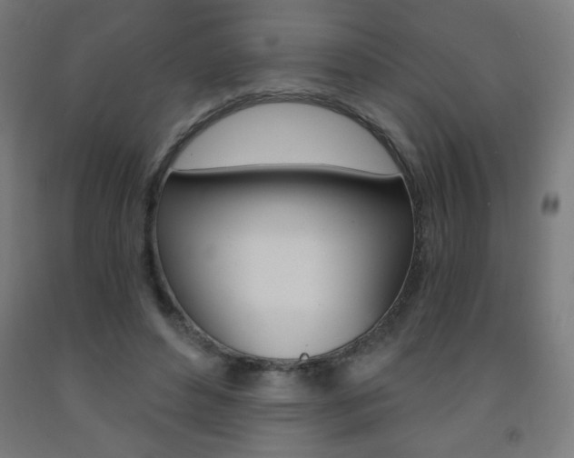 X0000093230496200709261512