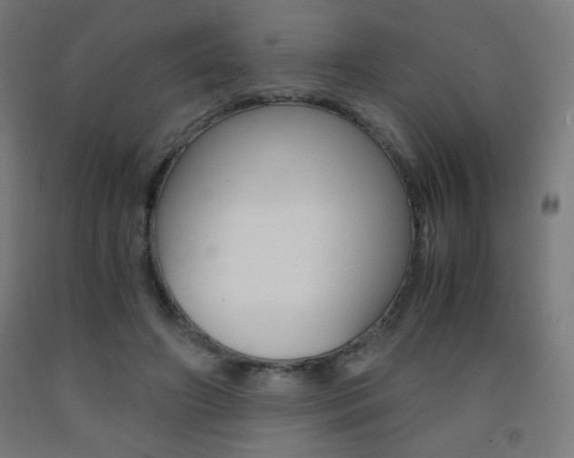 X0000093230498200709261512