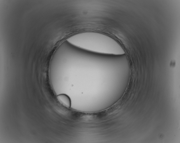 X0000093230499200709261512