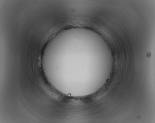 X0000093230502200709261512