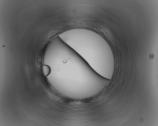 X0000093230503200709261512