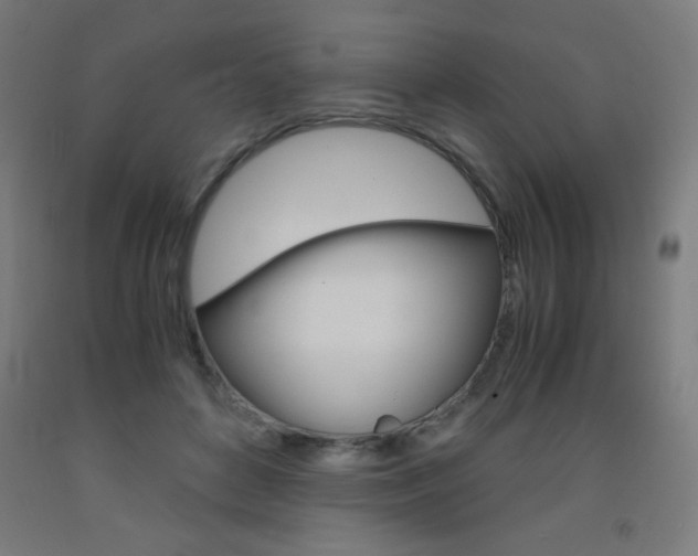 X0000093230504200709261512