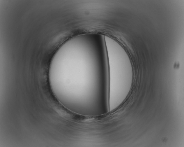 X0000093230505200709261512