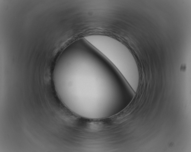 X0000093230508200709261512