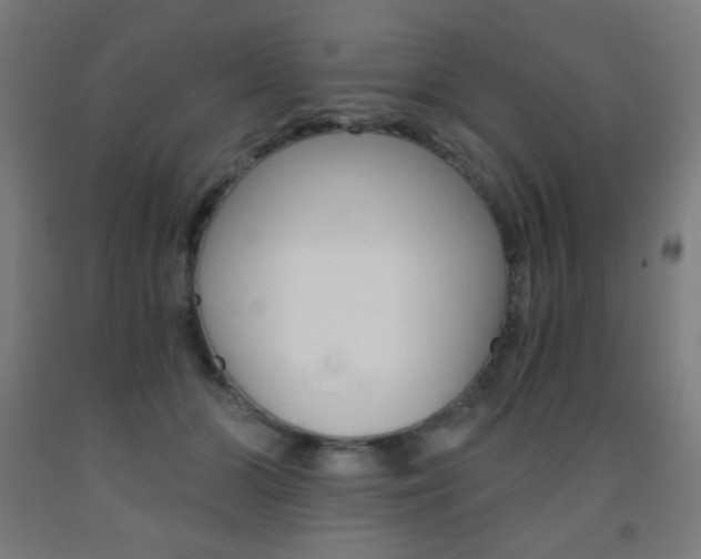 X0000093230510200709261512