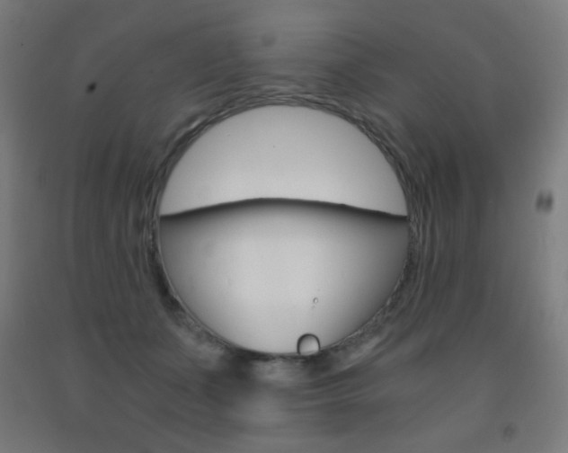 X0000093230511200709261512