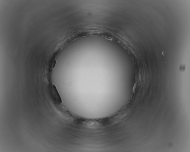 X0000093230512200709261512
