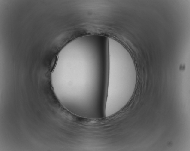 X0000093230513200709261512