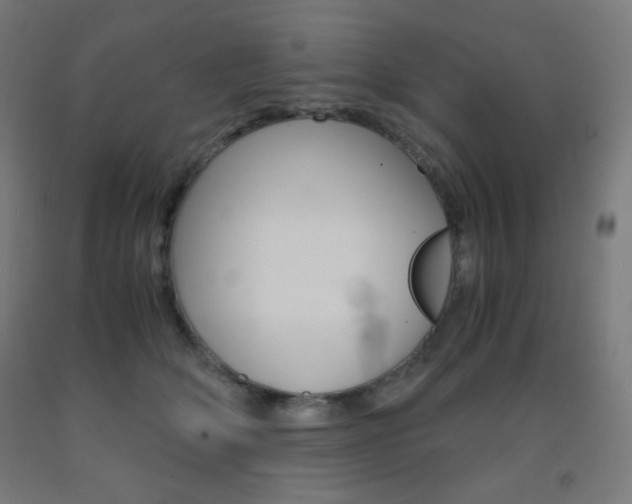 X0000093230514200709261512