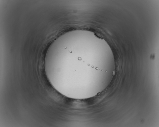 X0000093230515200709261512
