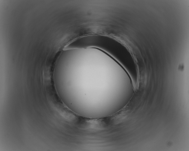 X0000093230516200709261512