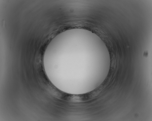 X0000093230518200709261512