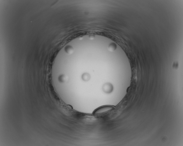 X0000093230519200709261512