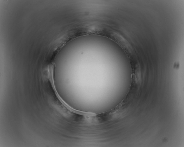 X0000093230520200709261512