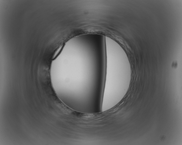 X0000093230521200709261512