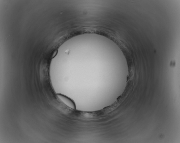 X0000093230522200709261512