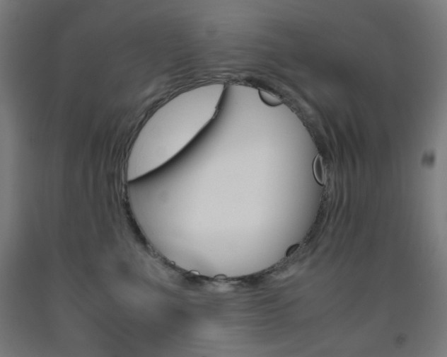 X0000093230523200709261512
