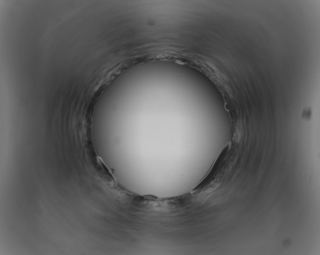 X0000093230524200709261512