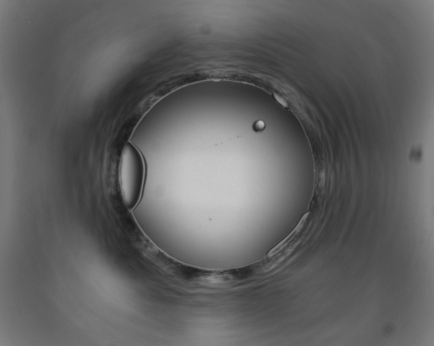 X0000093230525200709261512