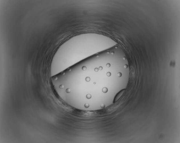 X0000093230527200709261512