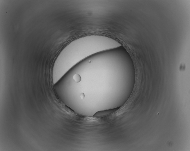 X0000093230528200709261512