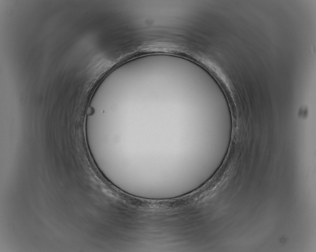 X0000093230529200709261511