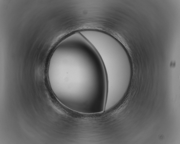 X0000093230530200709261511