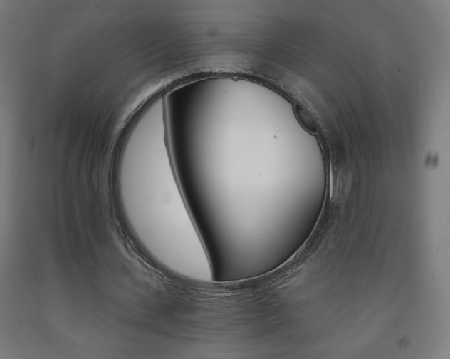 X0000093230531200709261511