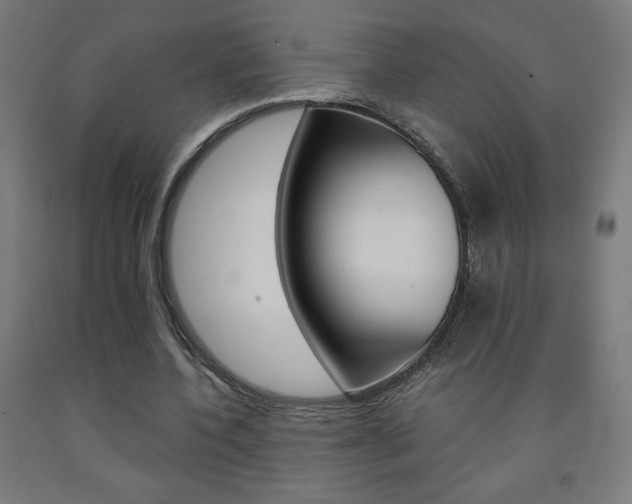 X0000093230532200709261511