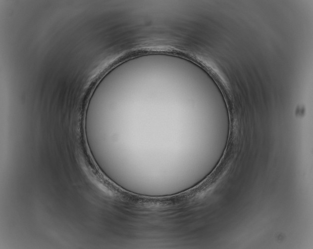X0000093230533200709261511