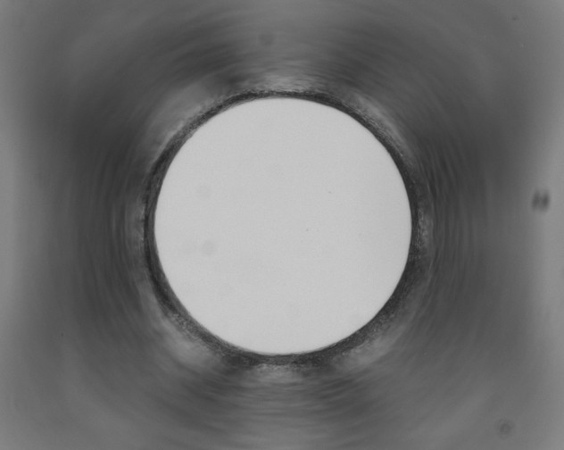 X0000093230534200709261511