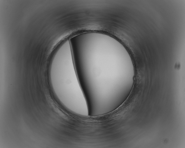 X0000093230535200709261511