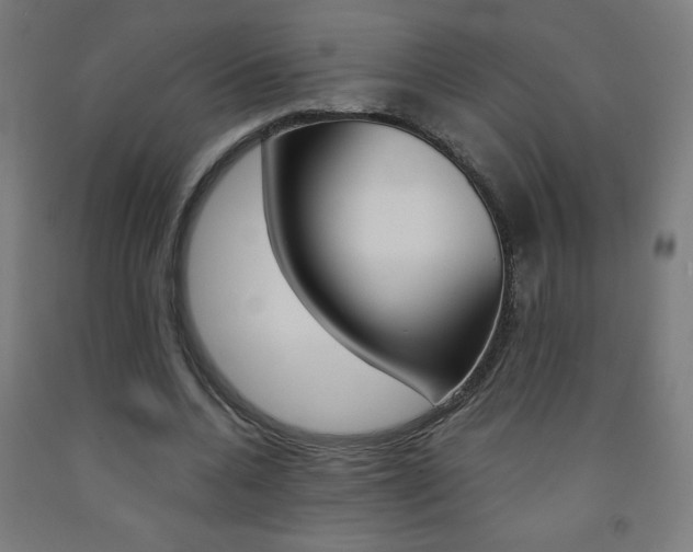 X0000093230536200709261511