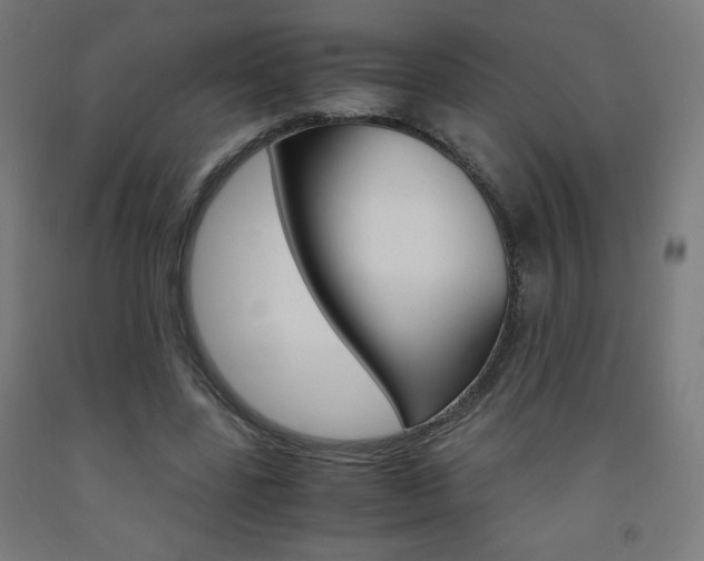X0000093230539200709261511