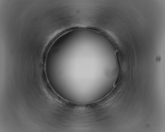 X0000093230540200709261511