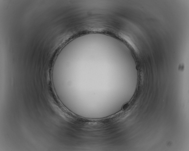 X0000093230541200709261511
