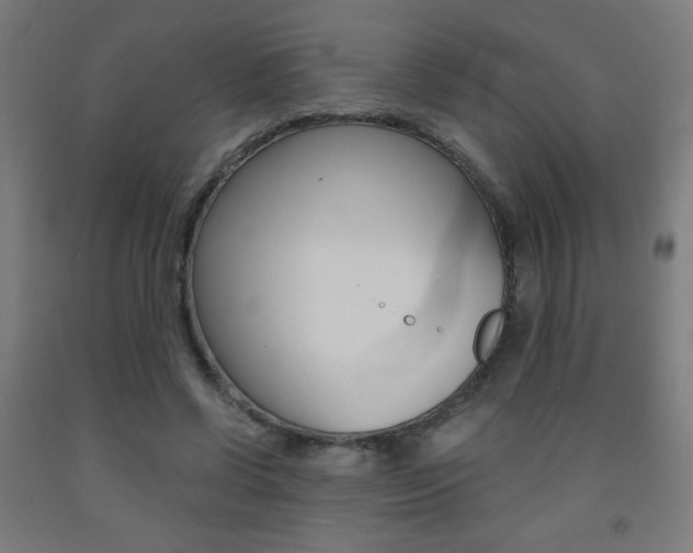 X0000093230542200709261511