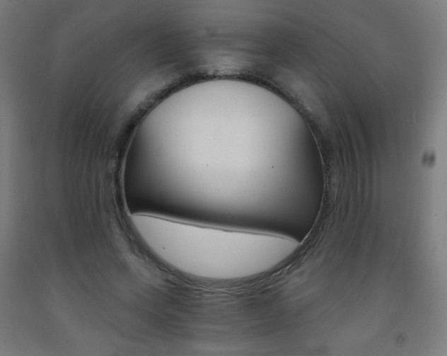 X0000093230543200709261511
