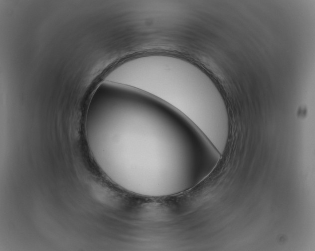X0000093230544200709261511
