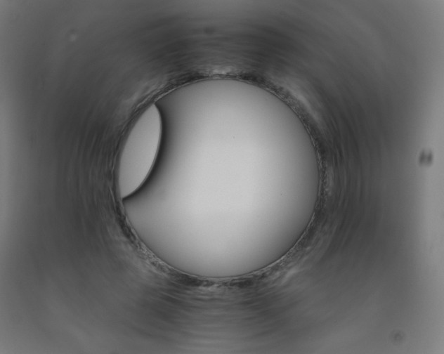 X0000093230545200709261511