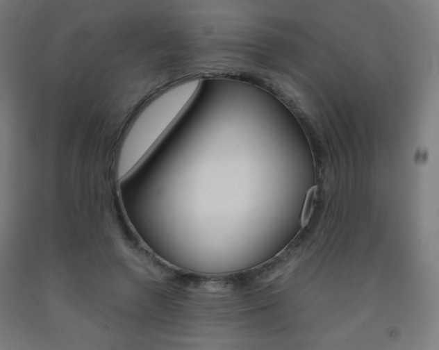 X0000093230546200709261511