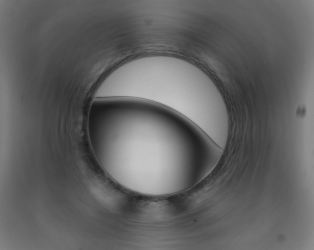 X0000093230548200709261511