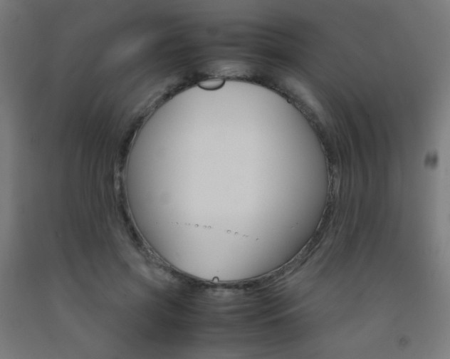 X0000093230549200709261511